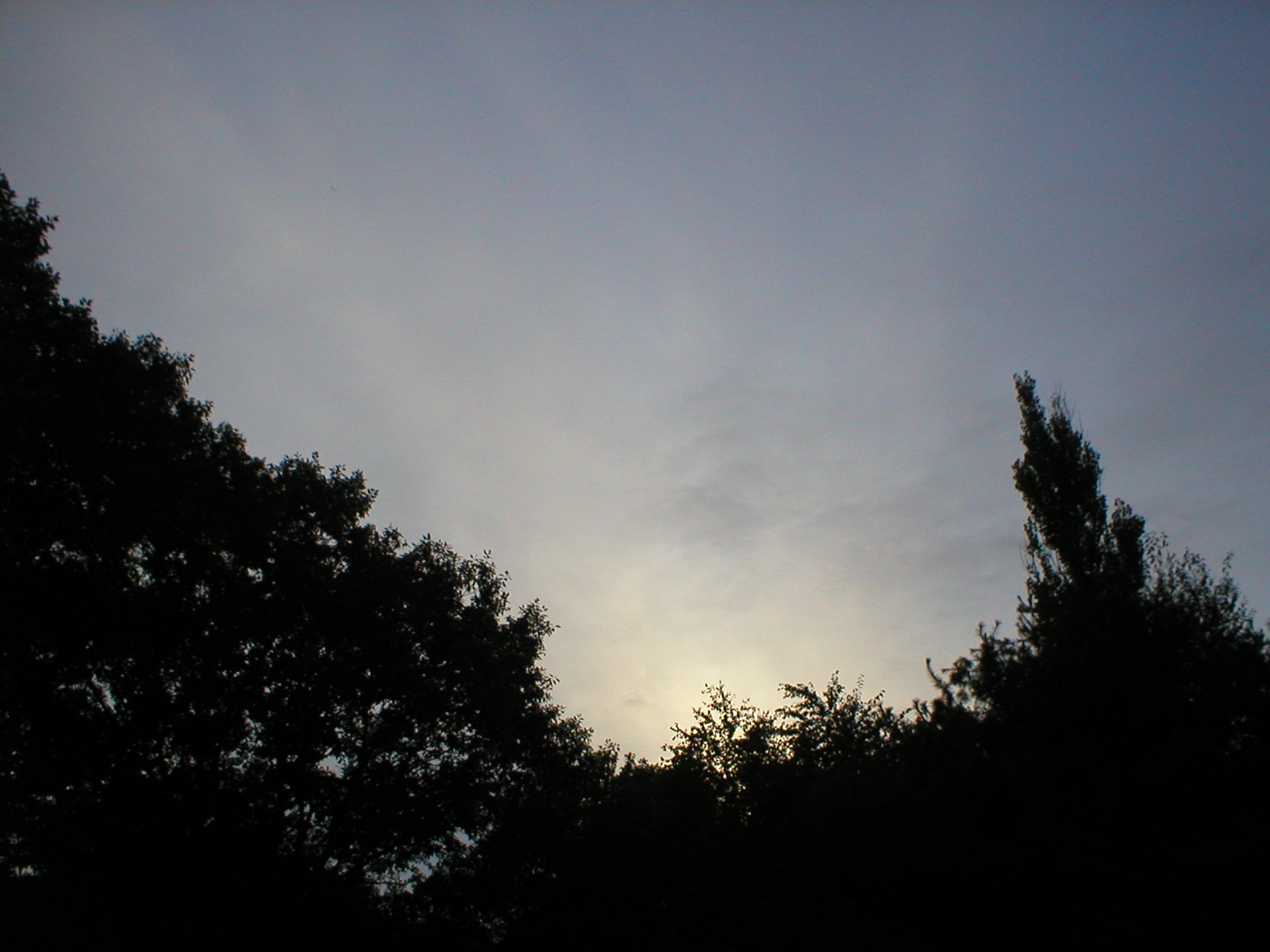 Dusk - Original Photo